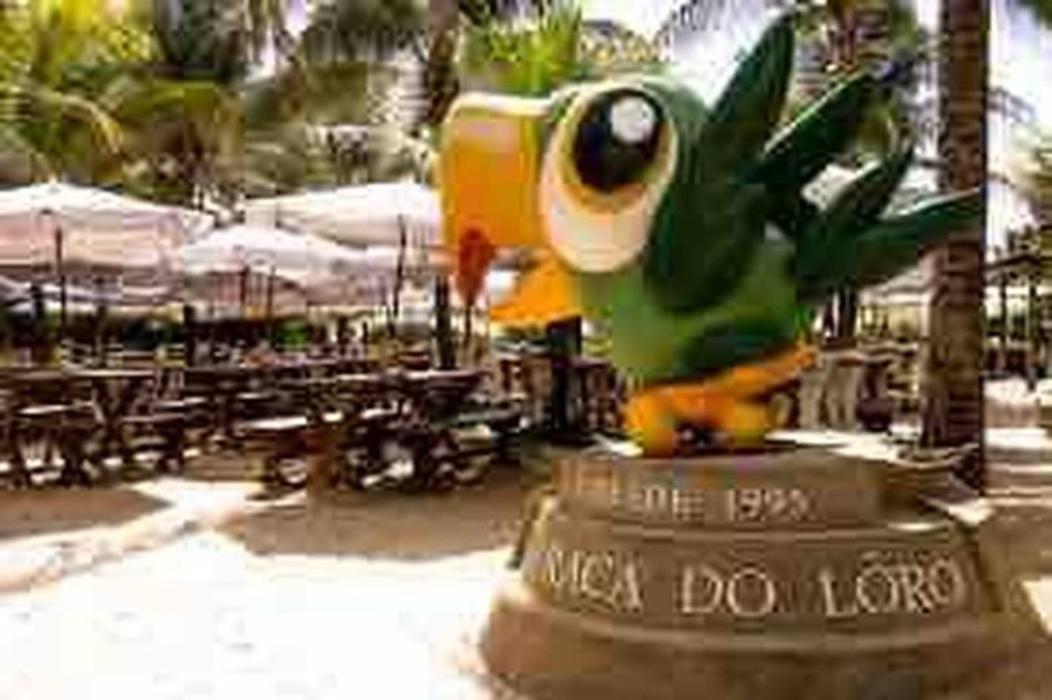 Pe Na Areia Vista Total Mar - O Paraiso E Aqui! Salwador Zewnętrze zdjęcie