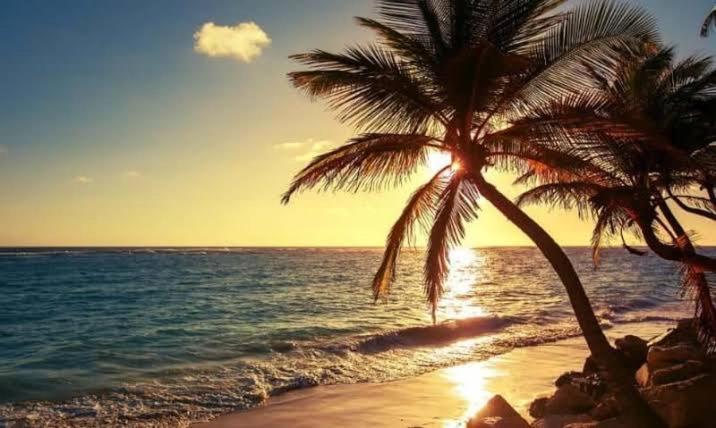 Pe Na Areia Vista Total Mar - O Paraiso E Aqui! Salwador Zewnętrze zdjęcie